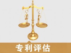 專利的價(jià)值評(píng)估，新手賣家必看